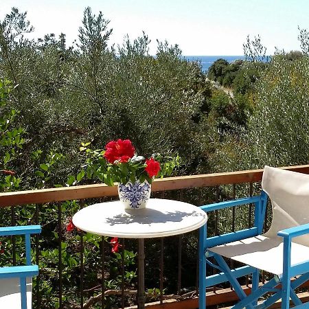 Olive Tree Cottages Palaiochora Exterior foto