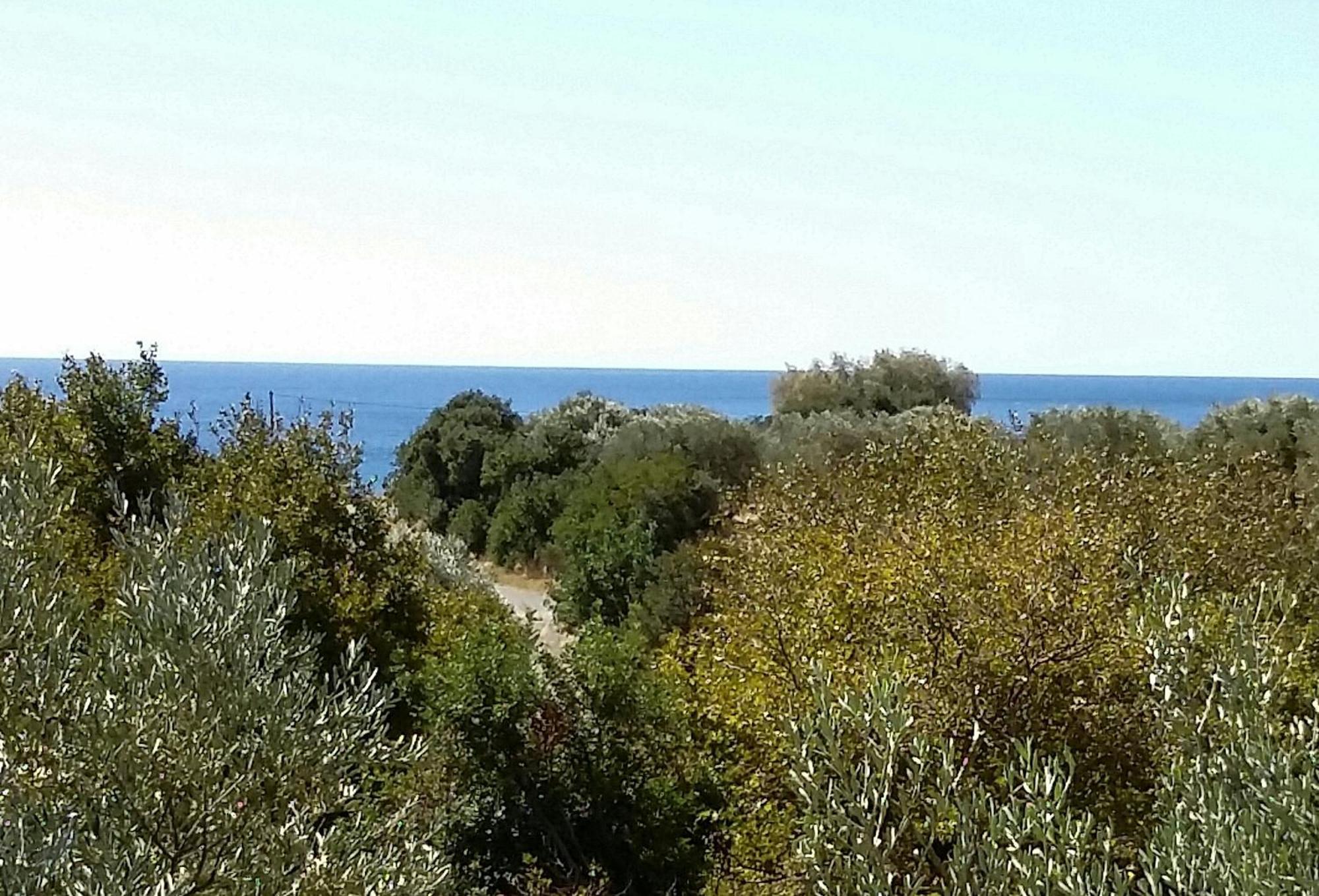 Olive Tree Cottages Palaiochora Exterior foto