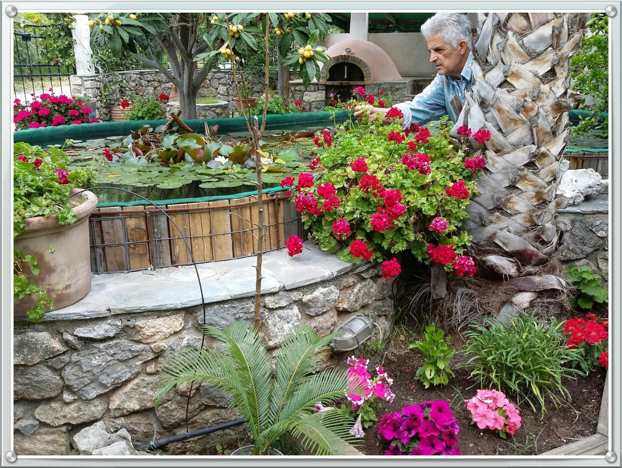 Olive Tree Cottages Palaiochora Exterior foto